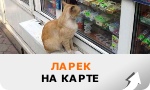 �� ������� ������ ����� ����� ������