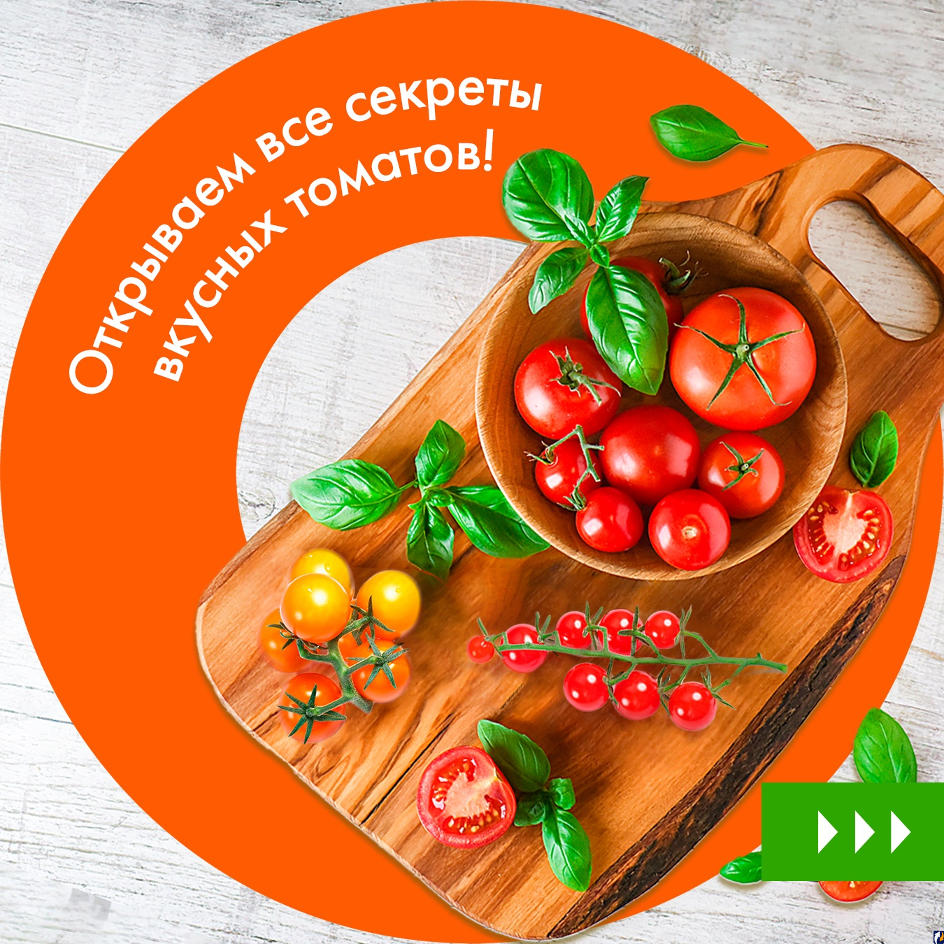 Синьор помидор: как выбрать самые вкусные томаты | 16.05.2022 | Псков -  БезФормата