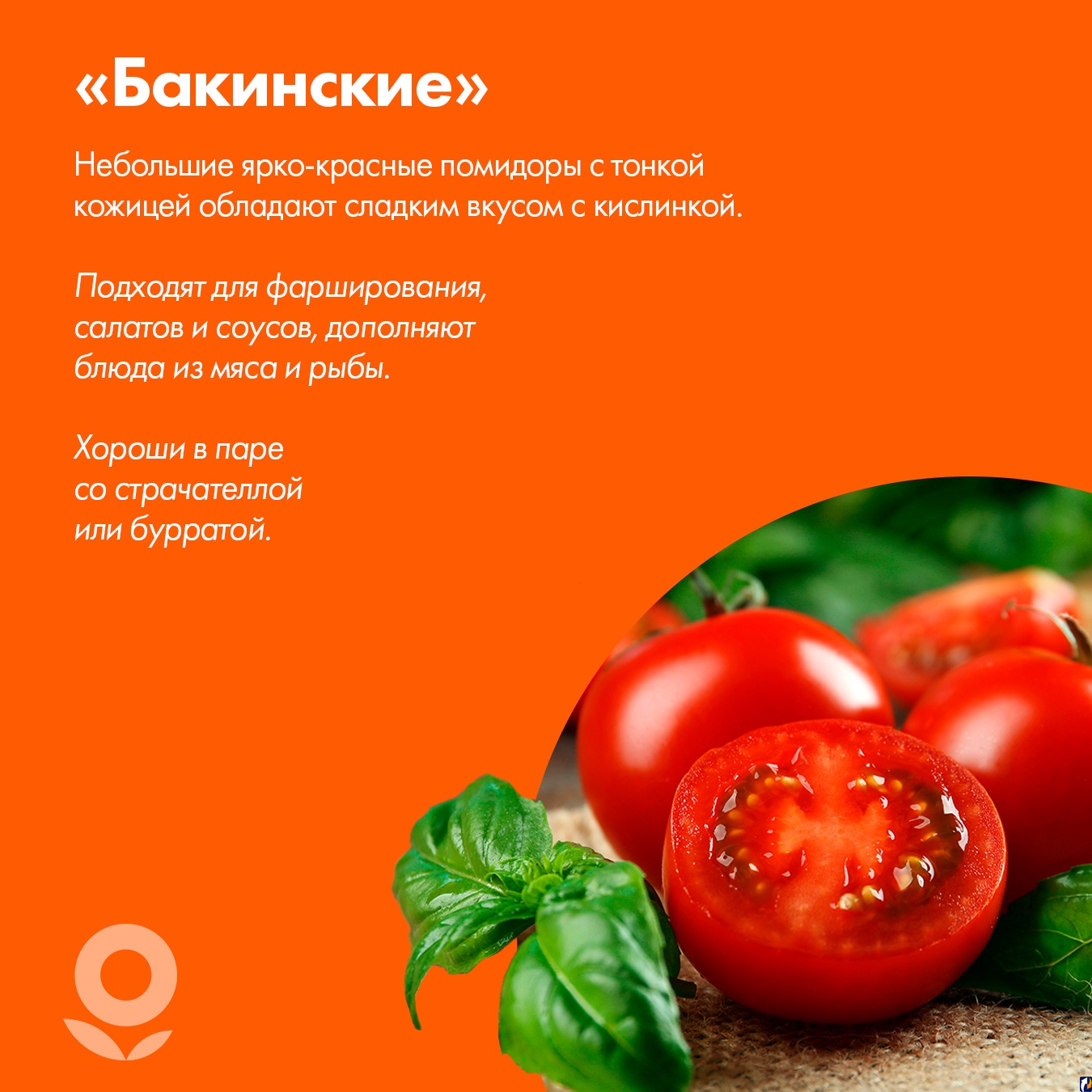 Синьор помидор: как выбрать самые вкусные томаты | 16.05.2022 | Псков -  БезФормата