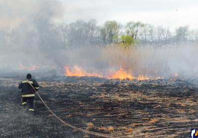 Больше трети пожаров  в Псковской области помогли предотвратить умные камеры