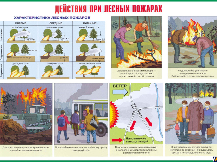 Псковичам напоминают о мерах безопасности при лесных пожарах