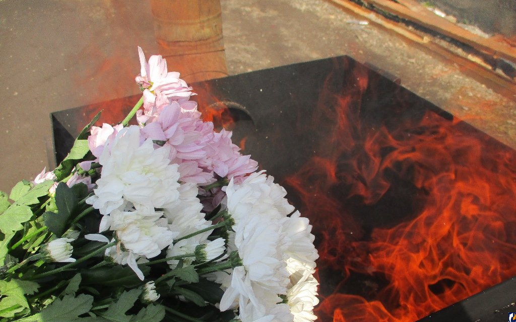 Хризантемы будут гореть: эксперты рассказали, как избавляются от больных растений