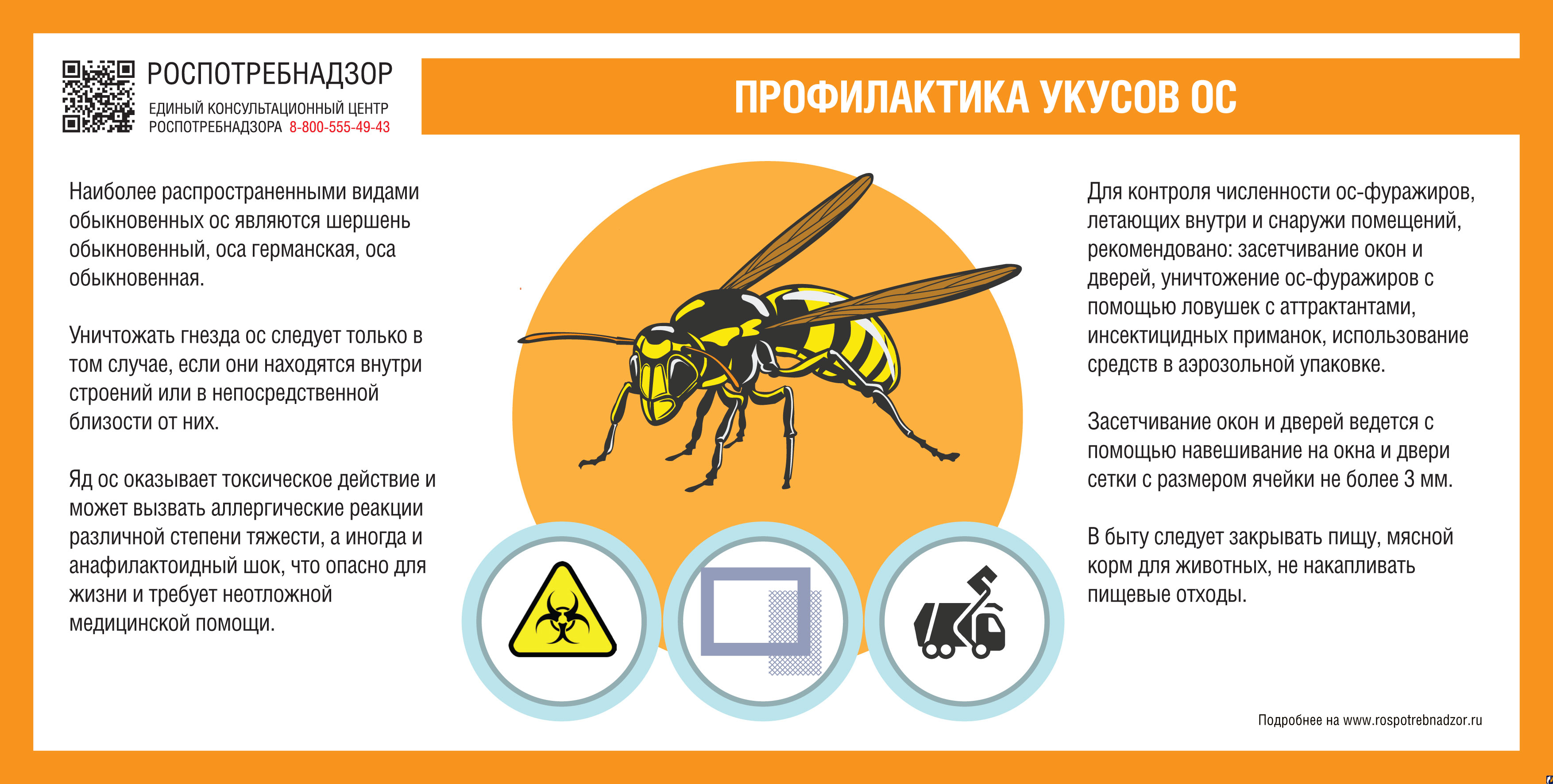 Аллергия на укусы пчел, ос, шершней – как проявляется и какую несет опасность