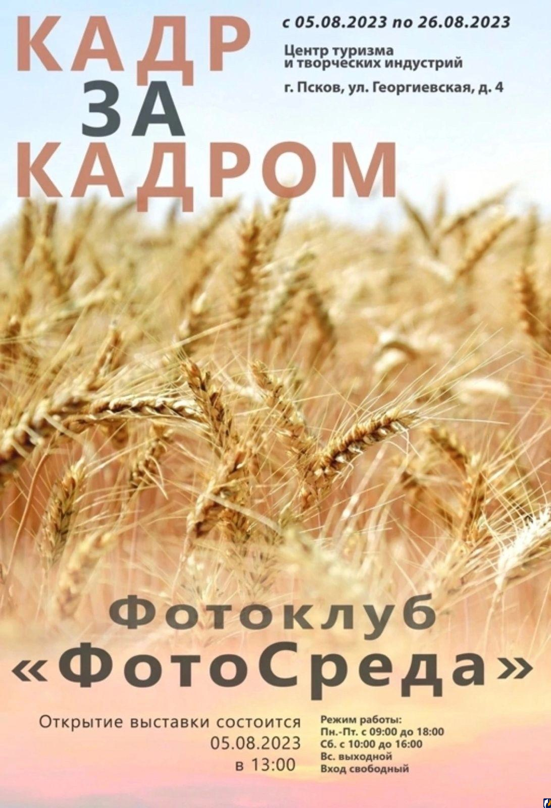 Фотовыставку «Кадр за кадром» рекомендуют посетить псковичам : Центр  Деловой Информации. Бизнес-новости Пскова и области. / ЦДИ.