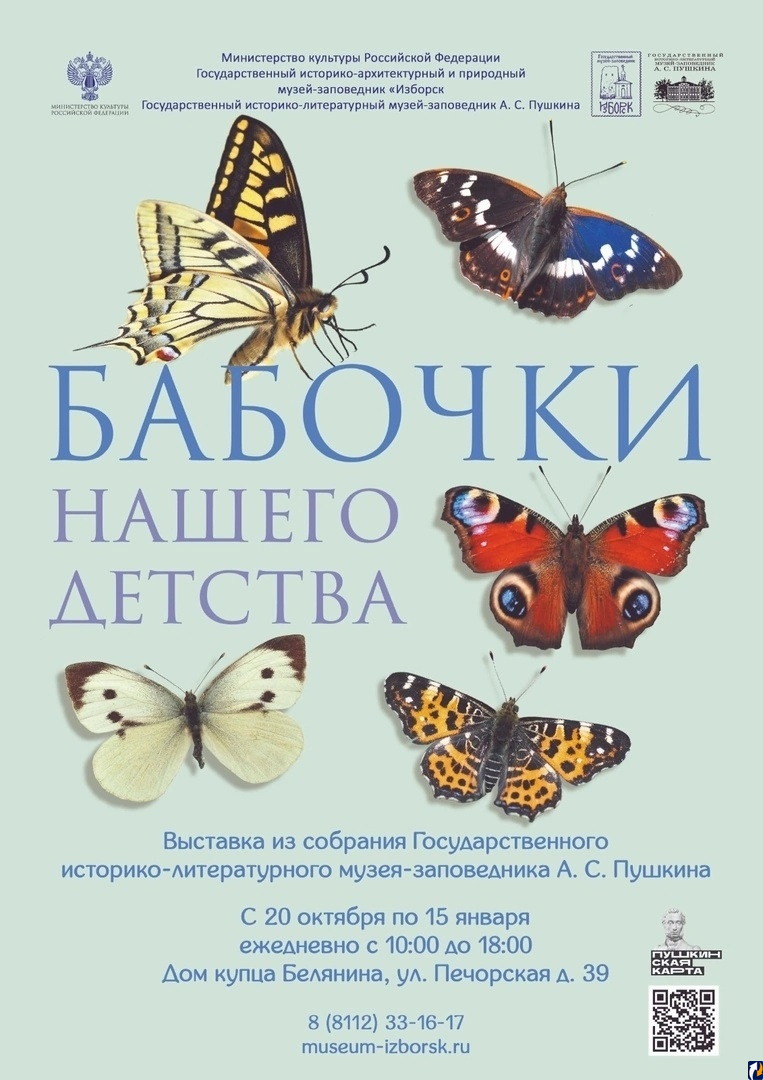 Псковичей зовут в Изборск посмотреть на бабочек и насекомых : Центр Деловой  Информации. Бизнес-новости Пскова и области. / ЦДИ.