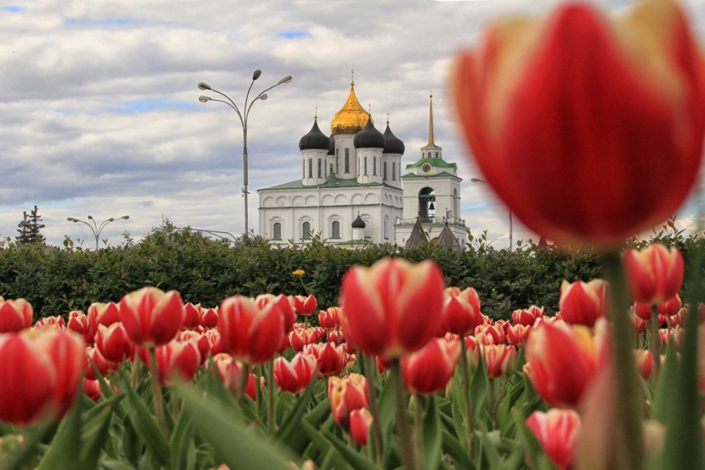 Собор Псков Весна