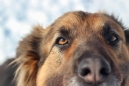 ����